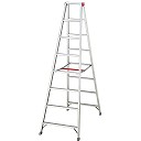 長谷川工業(Hasegawa) ８尺 ８段 RL-24のイメージ画像です。