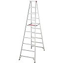 長谷川工業(Hasegawa) 10尺 10段 RL-30のイメージ画像です。